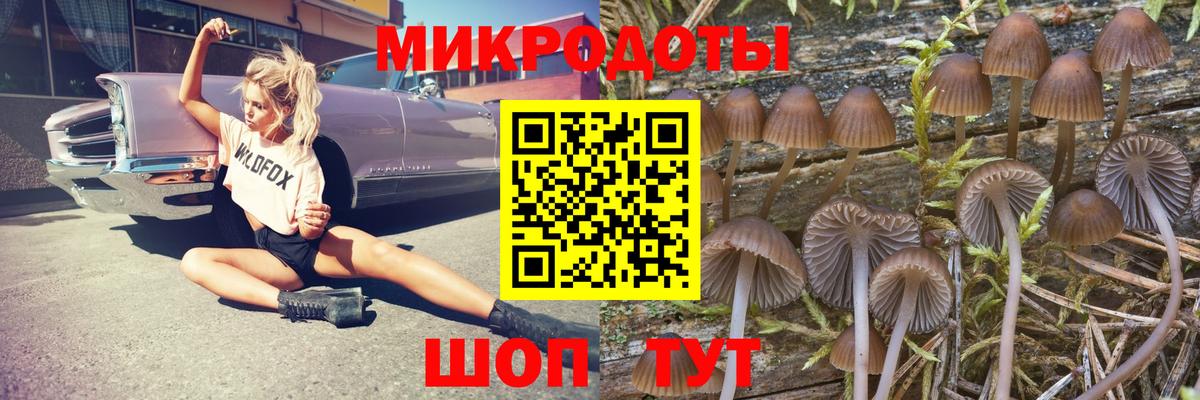 Псилоцибиновые грибы прущие грибы Пыть-Ях