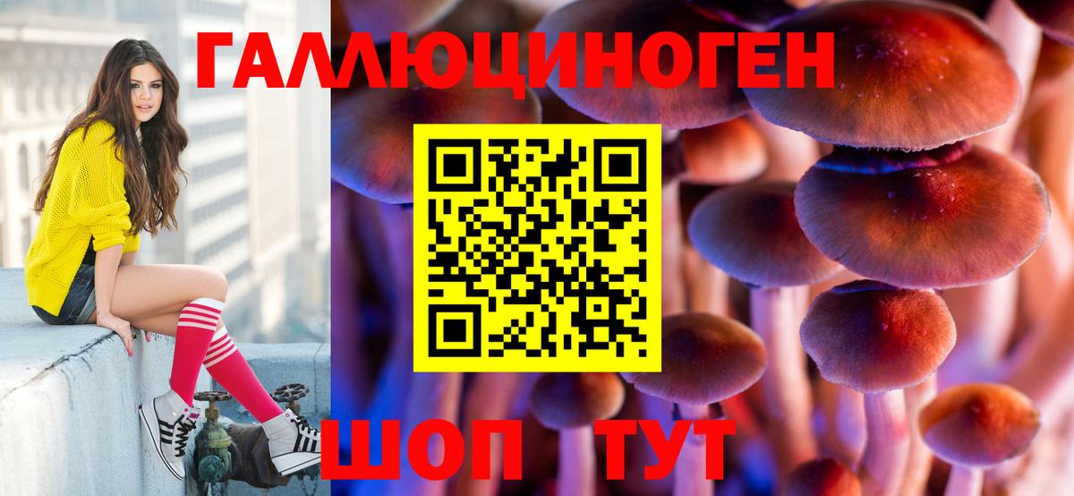 Пыть-Ях  Галлюциногенные грибы Cubensis  Вход с VPN 